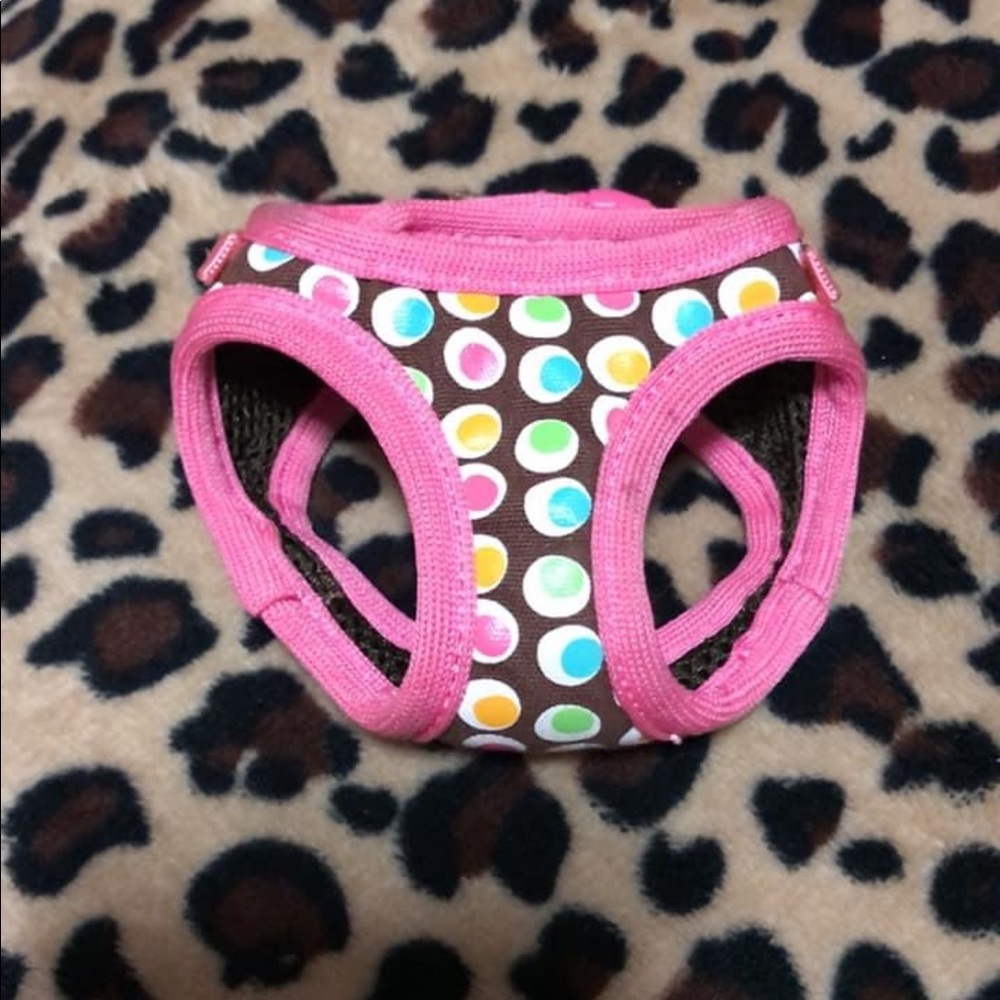 Pet harness